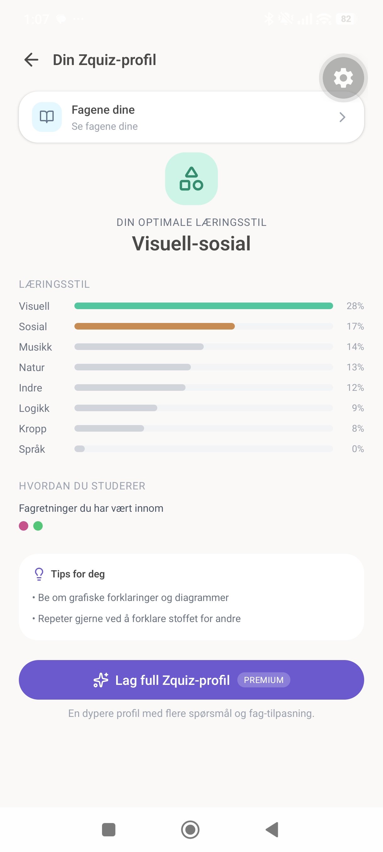 Læringsstil-profil som viser visuell og sosial læring